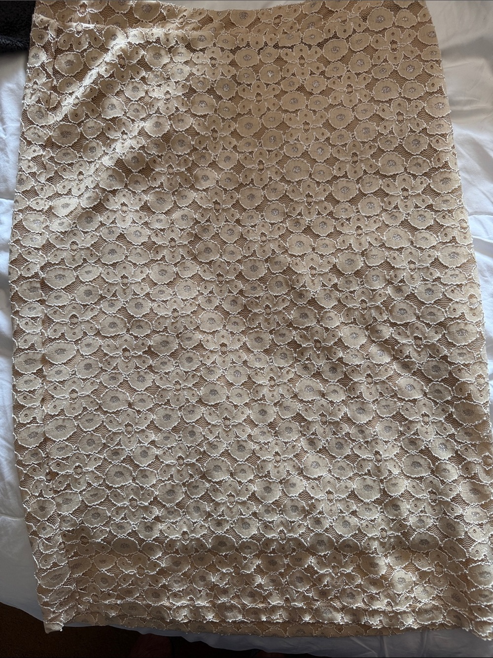 h.i.p. Lace Pencil Skirt in Beige